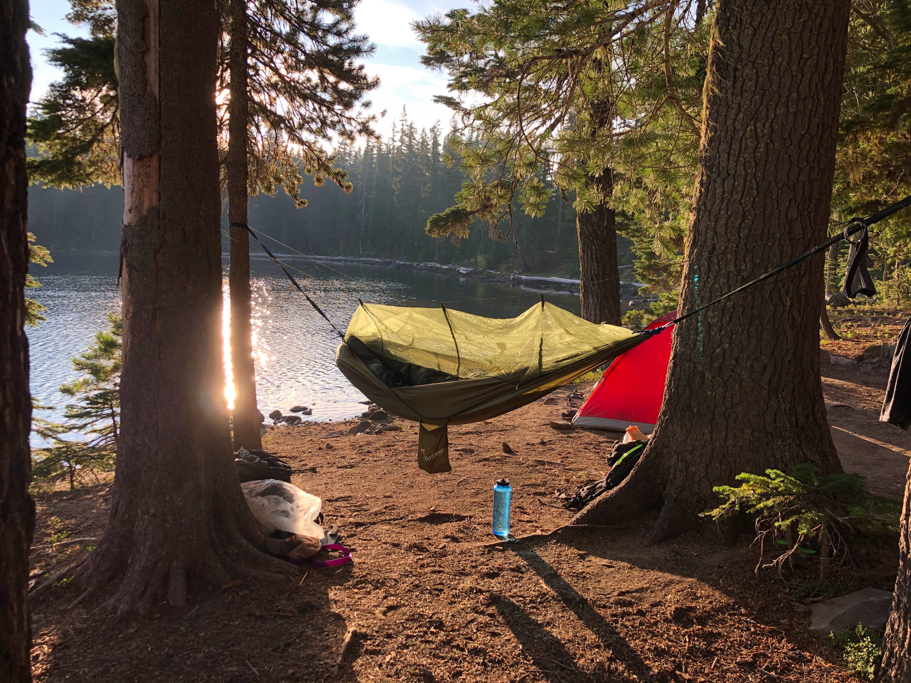 Hammocks